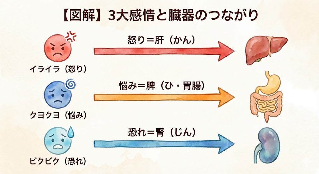 感情と内臓のつながりを示す図解。怒り顔（イライラ）は肝臓、困り顔（クヨクヨ）は胃腸、怯え顔（ビクビク）は腎臓へとそれぞれ矢印で結ばれ、心の状態が特定の臓器に影響することを示している。