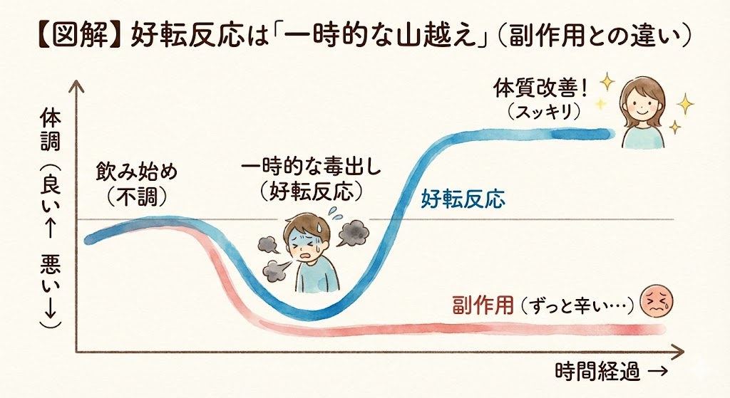 好転反応と副作用の違いを示す体調変化のグラフ。縦軸は「体調（良い・悪い）」、横軸は「時間経過」。好転反応（青い線）は、飲み始めに一時的にグラフが大きく下がる「毒出し（デトックス）」の時期を経て、その後V字回復し、元の状態より良くなる様子を描いている。対して副作用（赤い線）は、下がったまま回復しない様子を対比させている。