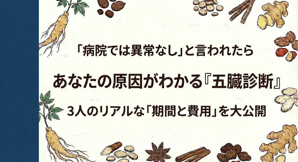 チェックシートを手にする女性と、五臓（肝・心・脾・肺・腎）のイラスト。漢方薬の費用グラフ。「原因不明の不調・原因・期間・費用を大公開」というテキスト。和紙の背景に紺色の帯。